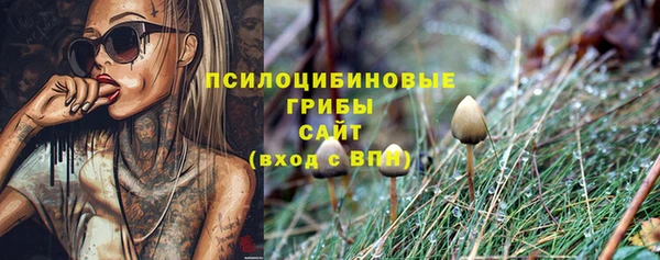 МДПВ Мегион