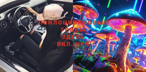 МДПВ Мегион