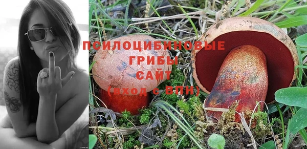 марки lsd Медногорск