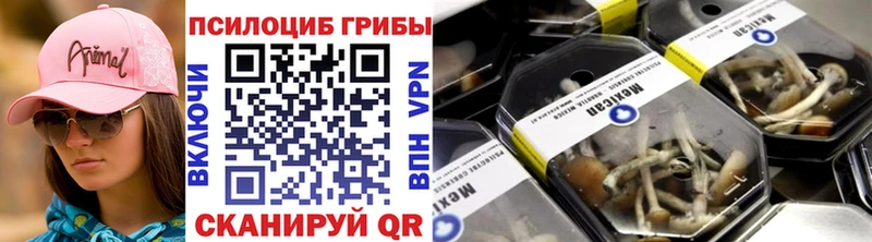 Купить закладки  Щигры  Галлюциногенные грибы Psilocybine cubensis 